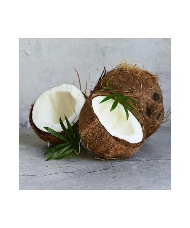 NEW RAW MATERIALS Coconut Oil 500 gr