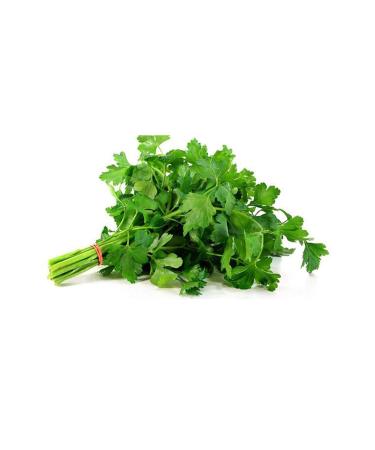 Royalex Parsley Seed 25 Gr