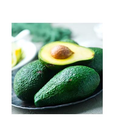 NEW RAW MATERIALS Avocado Oil 500 gr