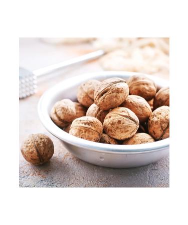 NEW RAW MATERIALS Walnut Oil 500 gr