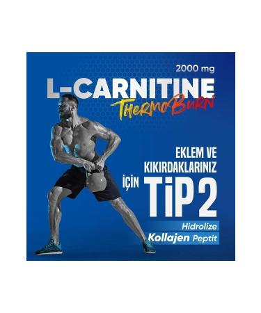 HOLA COLLAGEN Hola Fit L-Carnitine 2000 Mg Type2 Collagen / 15 Shot Forest Fruit - Buy Online on GoSupps.com