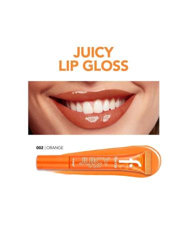 Flormar Fruit Flavored Lip Gloss (ORANGE) - Juicy Lip Gloss - 002 Orange - 8682536087728 - Buy Online on GoSupps.com