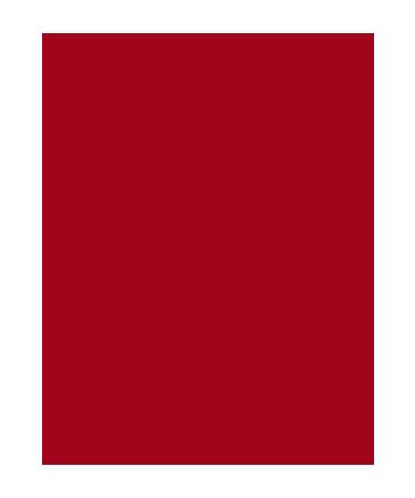 Flormar Permanent Matte Stick Lipstick - Color Master Sls. - 014 The Red- 8682536018043 - Buy Online on GoSupps.com