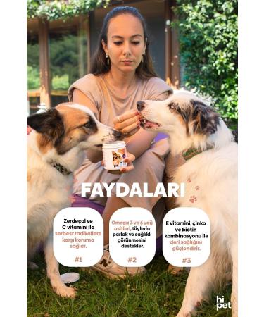 HiPet Skin and Coat Strengthening Chewable Tablet (DERMACARE) - Buy Online on GoSupps.com