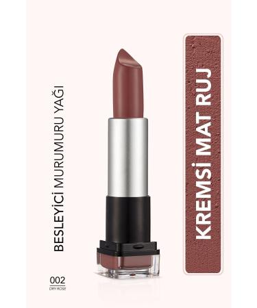 Flormar Light Texture Matte Lipstick (PINK) - Hd Weightless Matte Lipstick - 002 Dry Rose - 8690604518579