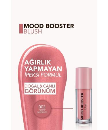 Flormar Intense Pigment Liquid Blush (DRY ROSE) - Mood Booster Lbl. - 003 Thats Rosewood - 8682536043724 - Buy Online on GoSupps.com