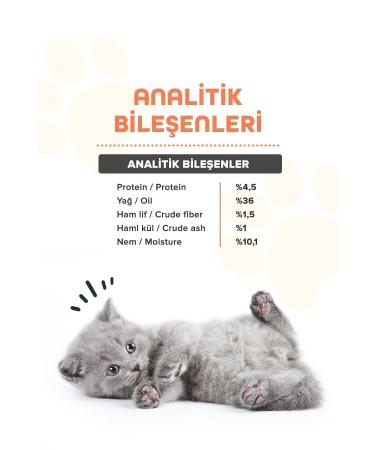 patiografya Premium Malt Paste 100.gr Malt Paste Supporting Cat Hairball and Vomiting Prevention - Buy Online on GoSupps.com