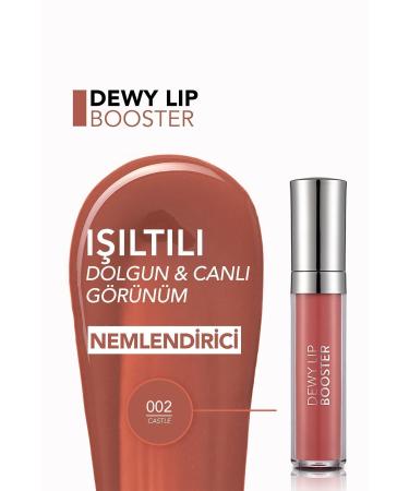 Flormar Plumping Lip Gloss (TEN) - Dewy Lip Booster - 002 Castle - 8690604619047 - Buy Online on GoSupps.com