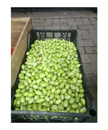 Arimay Green Olives Kg