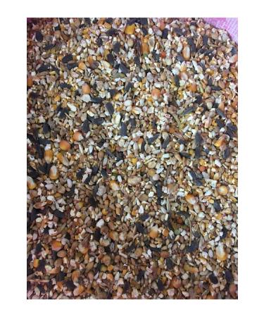 Pigeon Mixed Food 10 Kg