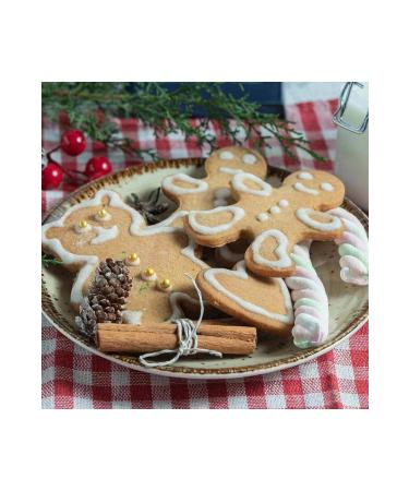 Monin Gingerbread Gingerbread Syrup 700 ml - Buy Online on GoSupps.com