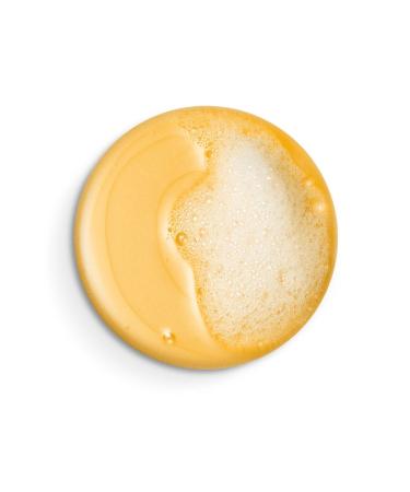 Vichy Dercos Anti-Dandruff Anti-Dandruff Care Shampoo for Normal and Oily Hair 390 ml - Buy Online on GoSupps.com