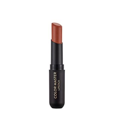 Flormar Permanent Matte Stick Lipstick - Color Master Sls. - 005 Ochre- 8682536017954