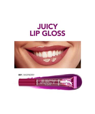 Flormar Fruit Flavored Lip Gloss (RASPBERRY) - Juicy Lip Gloss - 001 Raspberry - 8682536087711 - Buy Online on GoSupps.com