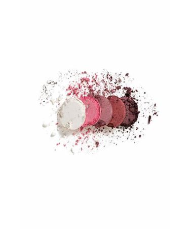 Flormar Matte & Shiny Eyeshadow Palette - Color Eyeshadow Palette - 006 Pink Dessert - 8690604051595 - Buy Online on GoSupps.com