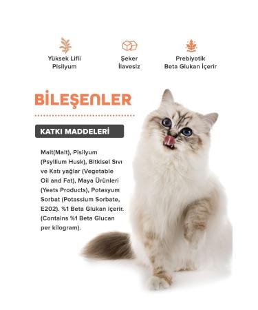 patiografya Premium Malt Paste 100.gr Malt Paste Supporting Cat Hairball and Vomiting Prevention - Buy Online on GoSupps.com