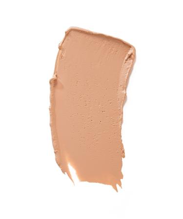 Flormar Liquid Concealer - Perfect Coverage Concealer - 040 Light-Medium 8690604558070 - Buy Online on GoSupps.com