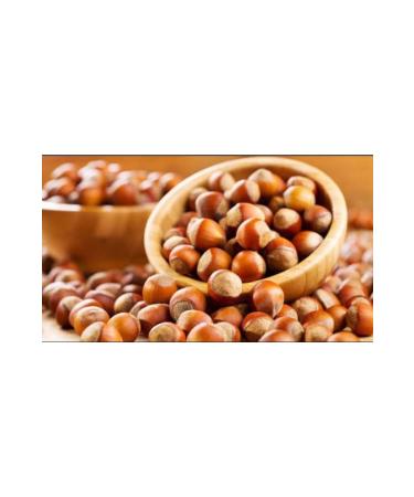 MSNF nd k 1kg Hazelnuts in Shell 2024 Crop