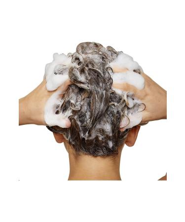 L'oreal Professionnel Absolut Repair serie expert for damaged hair types 500 ml evalor2 - Buy Online on GoSupps.com