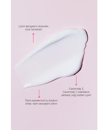 Dermoskin STD Ato Probiotic Cream for Dry Skin 50 ml Classic - Buy Online on GoSupps.com