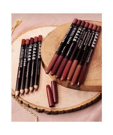 Oily Lip Pencil 12 Pieces