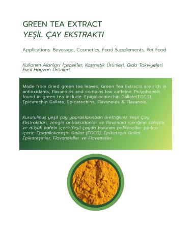 ayeks Green Tea Extract 100gr
