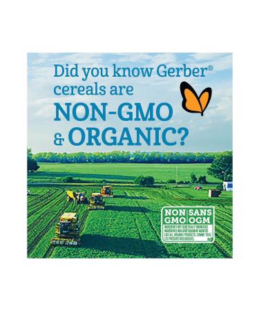 Gerber Cereals- Rice Banana- Banana and Rice Spoon Food -227 Gr- From 6 months - 2nd stage - Buy Online on GoSupps.com