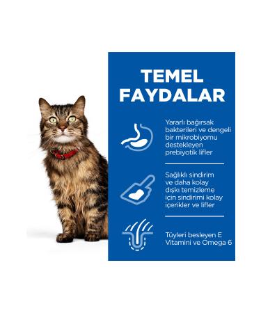 Hill's SCIENCE PLAN Adult Cat Food Chicken for Stomach and Skin Sensitivity 1.5 Kg - Buy Online on GoSupps.com