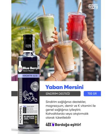 NaturaBerry Blueberry Concentrate 700gr - Buy Online on GoSupps.com