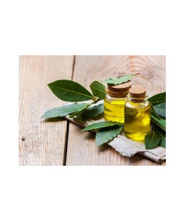 ayaz nursery Bay Oil 130ml