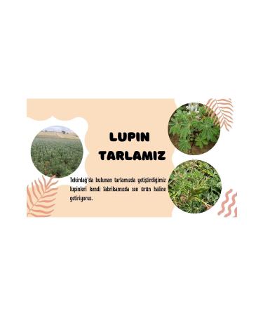 Saffron Ketogenic & Gluten Free Sweet Lupine Flour 700 gr - Buy Online on GoSupps.com