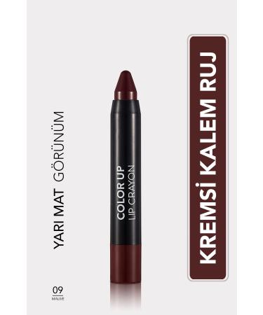 Flormar Satin Finish Pencil Lipstick (CHRY ROTTEN) - Color Up Lip Crayon - 009 Mauve - 8690604503360