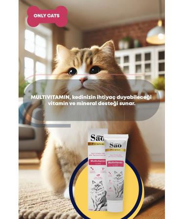 Sao Premium Sao Multi Vitamin Paste 100 gr - Buy Online on GoSupps.com