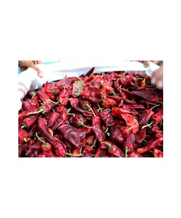 naturalkoyproducts SEED MARAS HOT PEPPER 500 GR