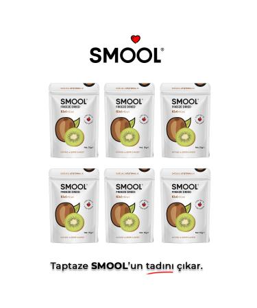 SMOOL Freeze Dried Kiwi 6 Pack (15 GRX6) Freeze Dried Kiwi - Freeze Dry Kiwi