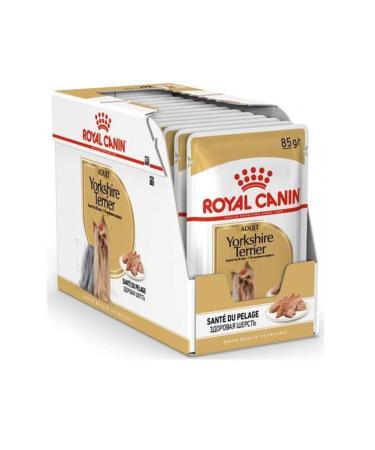 Royal Canin Adult Yorkshire Terrier Dog Food 85 Gr X 12