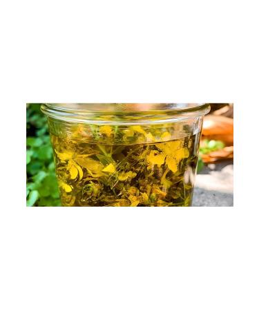 EFELER LAND Pure and Undiluted St. John's Wort Oil - 200 ml - Buy Online on GoSupps.com