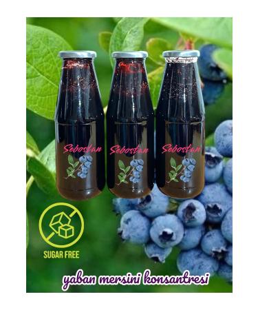 Triple sugar-free blueberry concentrate from Sebo