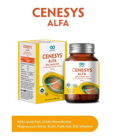 armin Cenesys Alpha 60 Tablet