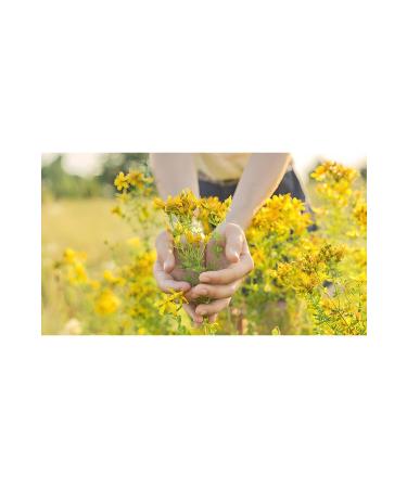 EFELER LAND Pure and Undiluted St. John's Wort Oil - 200 ml - Buy Online on GoSupps.com