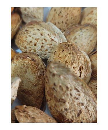 Bio Boden Hand Almond Thin Shell Hand Cracked 500 Gr - Buy Online on GoSupps.com