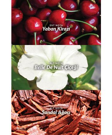 Avon Far Away Beyond The Moon Body Lotion 125 Ml. Triple Set - Buy Online on GoSupps.com