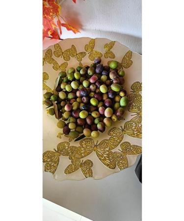 AKSOY Natural Extra Virgin Olive Oil 5 liters - Buy Online on GoSupps.com