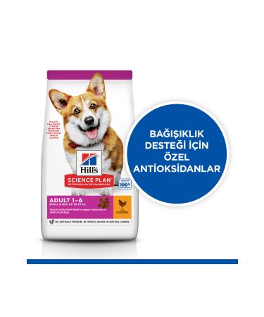 Hill's SCIENCE PLAN Chicken Small and Mini Breed Adult Dog Food 6 Kg - Buy Online on GoSupps.com