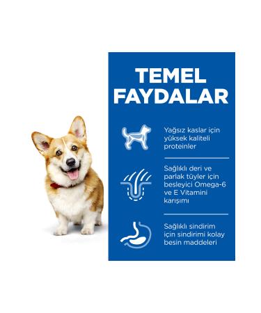 Hill's SCIENCE PLAN Chicken Small and Mini Breed Adult Dog Food 6 Kg - Buy Online on GoSupps.com