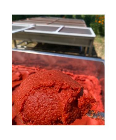 Kg Dried Food Tomato Paste (1 Kg) - Buy Online on GoSupps.com