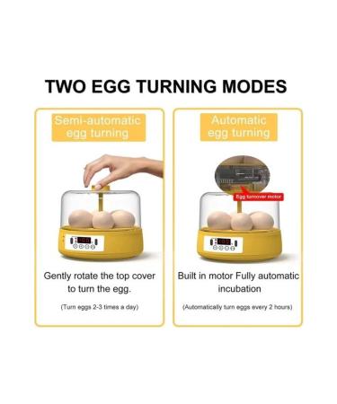 Epilons Mini Automatic Home Type Incubator: Electric Chicken and Bird Incubator 6 Eggs Mx-6 - Buy Online on GoSupps.com