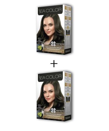 Skygo 2x2 Tube Cream Hair Dye Set Ash Dark Blonde No:6.1