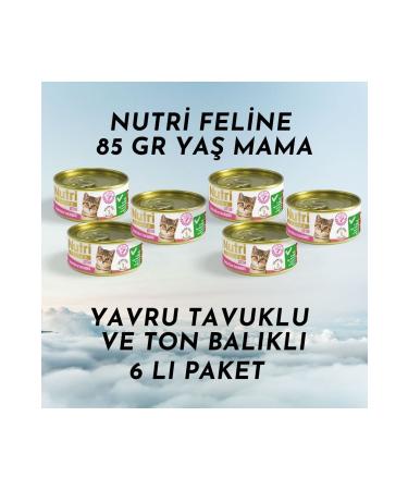 Nutri Feline Canned 85 gr Kitten Chicken Meat Tuna 6 Pack Wet Food