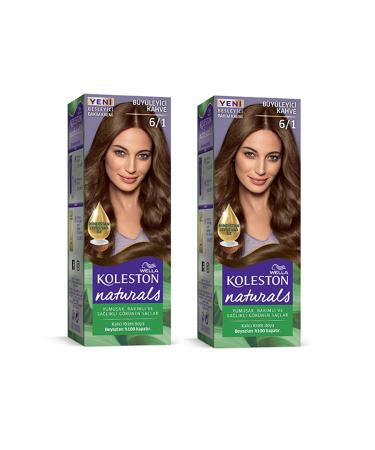 Skygo Naturals Hair Dye Fascinating Brown 6/1 2x Pack
